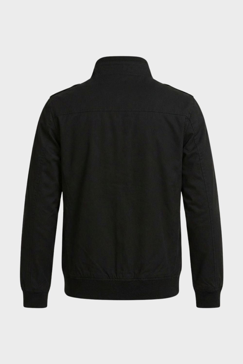 Men's stand collar zip up bomber jacket, back view