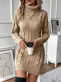 Roll neck cable knit mini jumper dress with long sleeves