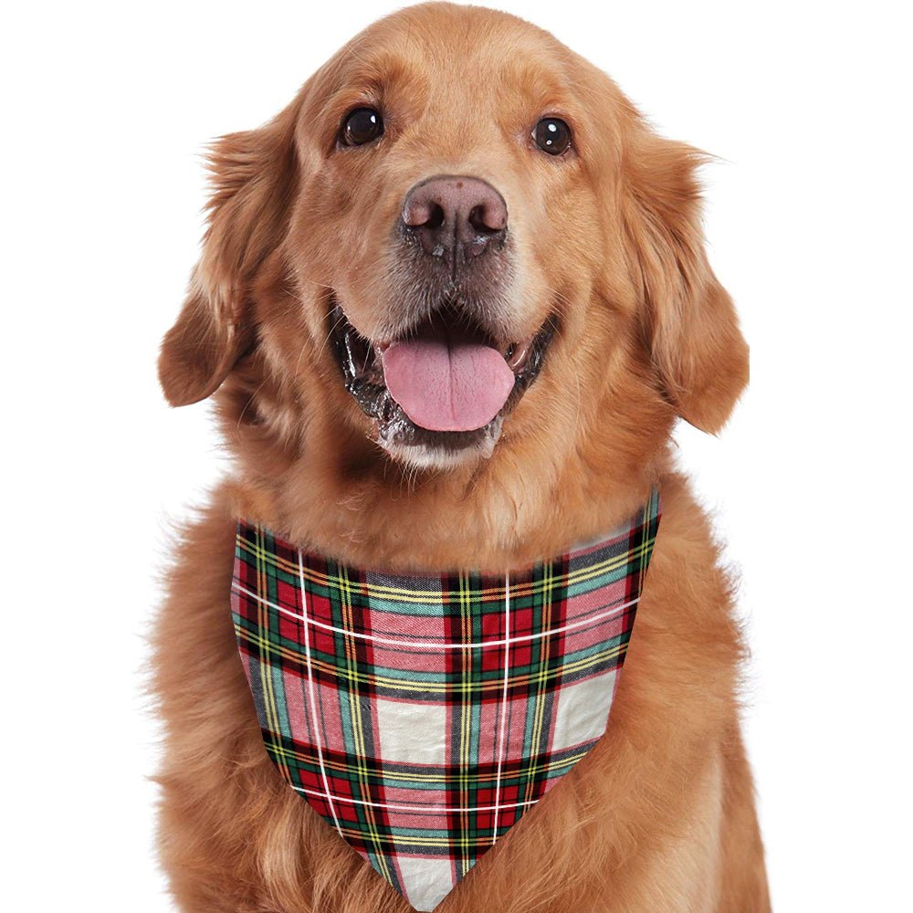 Matching family Christmas pyjamas in red and cream tartan check with red ribbed cuffs - view 7