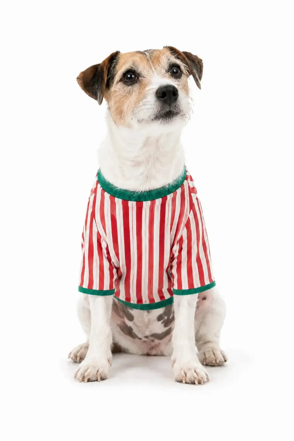 Red and white candy stripe matching family Christmas pyjamas with green piping - view 10