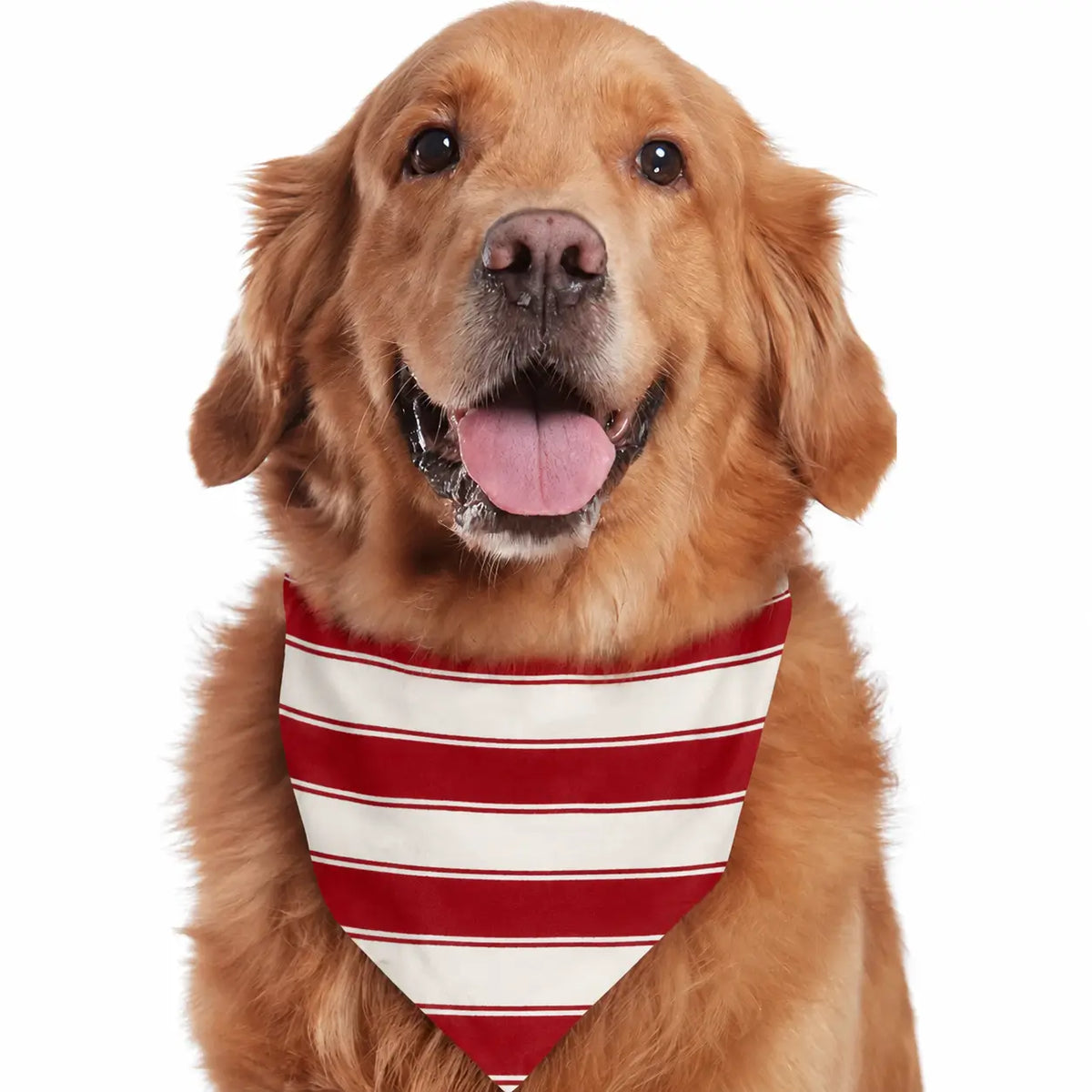 Family wearing matching red and white striped Christmas pyjamas with grey ribbed cuffs and a grey henley top - view 13