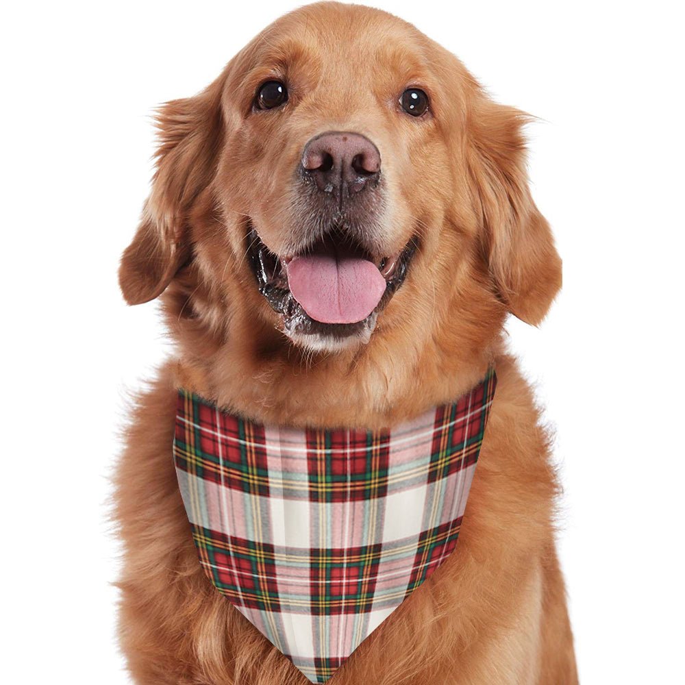 Family wearing matching red and white tartan Christmas pyjamas with red ribbed cuffs - view 9